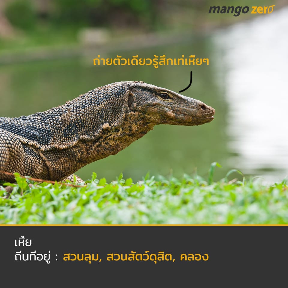 My Image 31