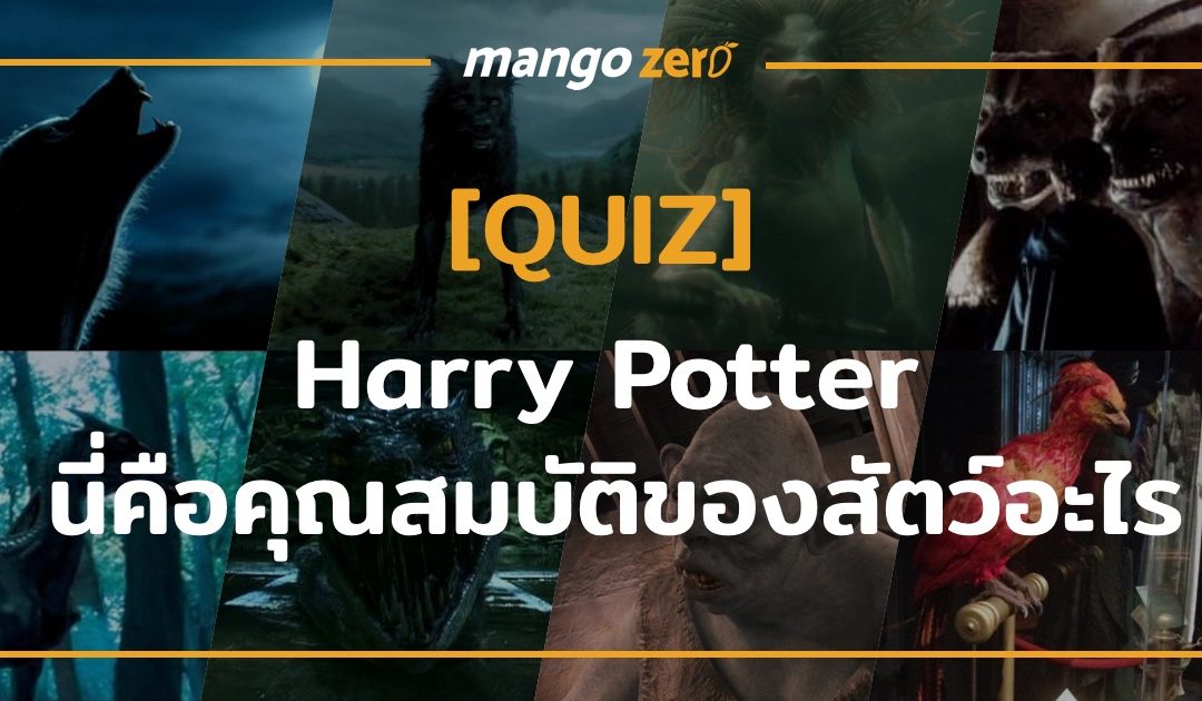 [QUIZ] นี่คือคุณสมบัติของสัตว์ตัวใดในเรื่อง Harry Potter