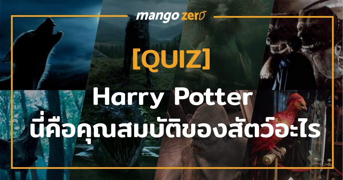 quiz-harry-potter-beast