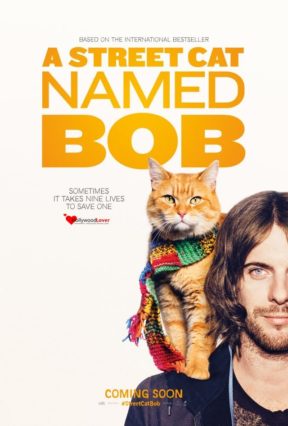 a-street-cat-named-bob