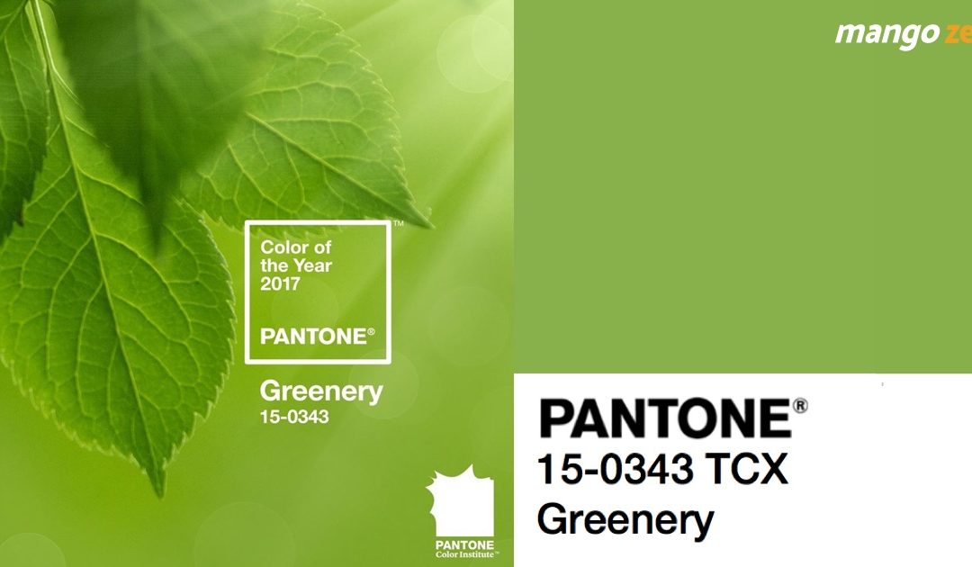 Pantone ประกาศแล้ว ให้สีเขียว Greenery เป็นสีแห่งปี 2017