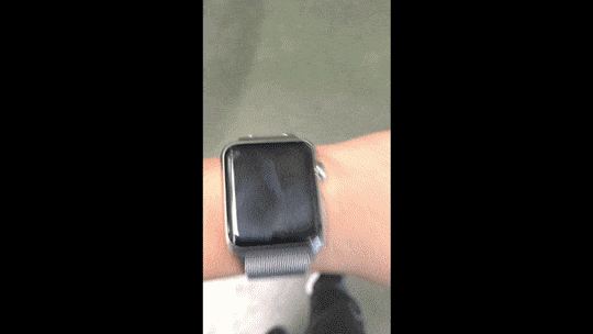 เมื่อเจอโปเกม่อน Apple Watch จะแสดงผลแบบนี้