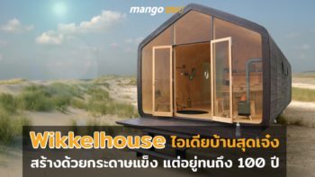 Wikkelhouse ไอเดียบ้านสุดเจ๋ง สร้างด้วยกระดาษแข็ง แต่อยู่ทนถึง 100 ปี