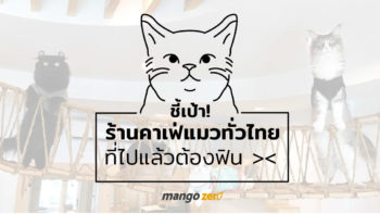 ชี้เป้า !! 10 ร้านคาเฟ่แมวทั่วไทย ที่ไปแล้วต้องฟินกับน้องเหมียว