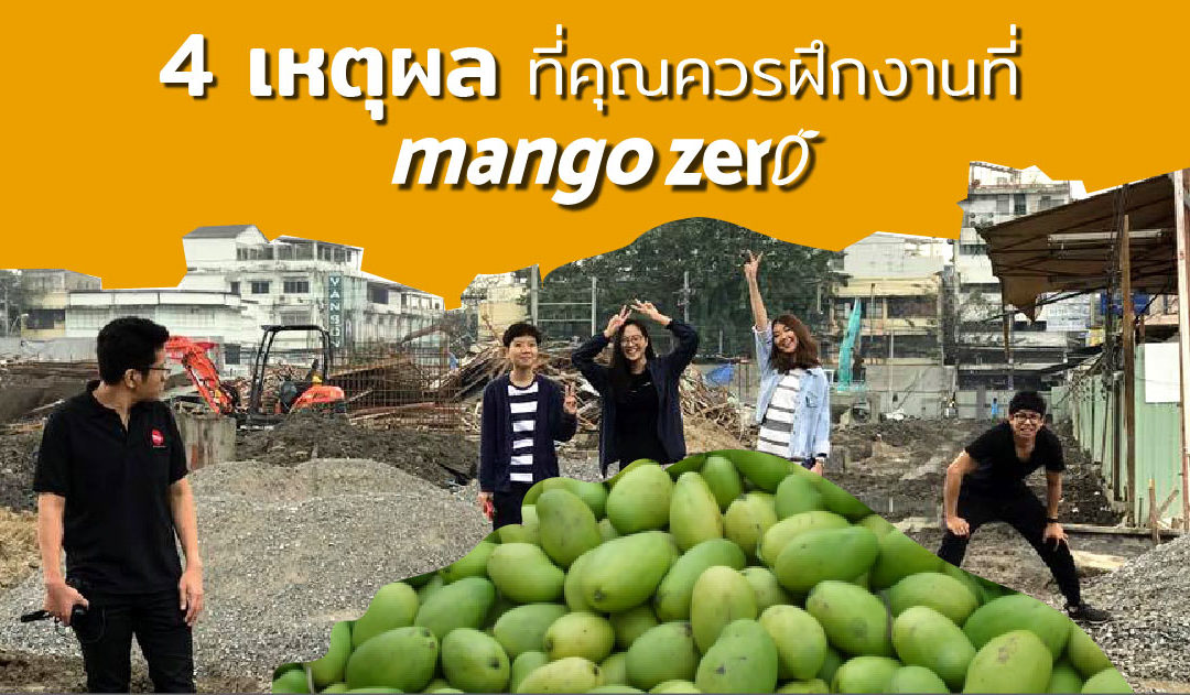 4 เหตุผลที่คุณควรมาฝึกงานที่ Mango Zero