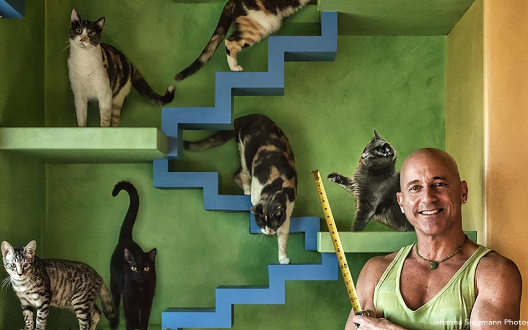 รู้จักกับชายผู้ใช้เวลากว่า 20 ปี สร้างบ้านสุดเจ๋งให้แมวจรจัดกว่า 22 ตัวที่รับมาเลี้ยง