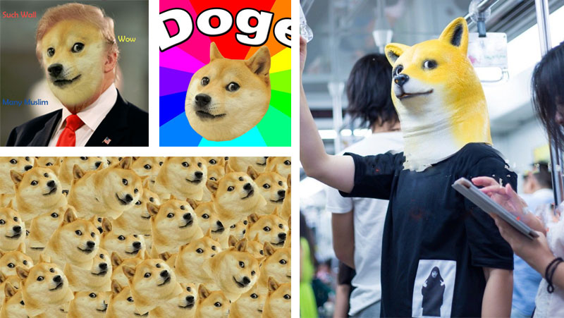 doge-meme