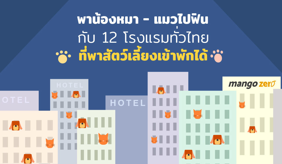 พาน้องหมา-แมวไปฟินกับ 12 โรงแรมทั่วไทยที่พาสัตว์เลี้ยงเข้าพักได้