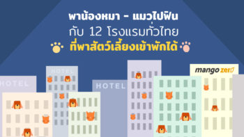 พาน้องหมา-แมวไปฟินกับ 12 โรงแรมทั่วไทยที่พาสัตว์เลี้ยงเข้าพักได้