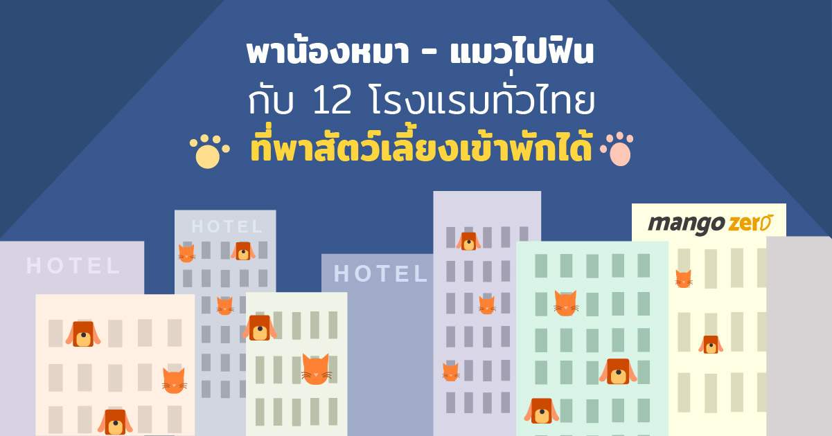 12-hotels-for-pets-1
