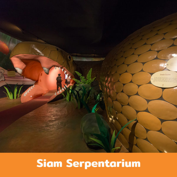 Siam-Serpentarium