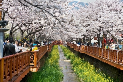 5-festivals-in-korea-12