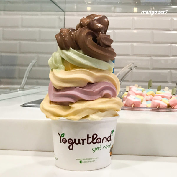 review-yogurtland-promotion-summer-unlimited-07