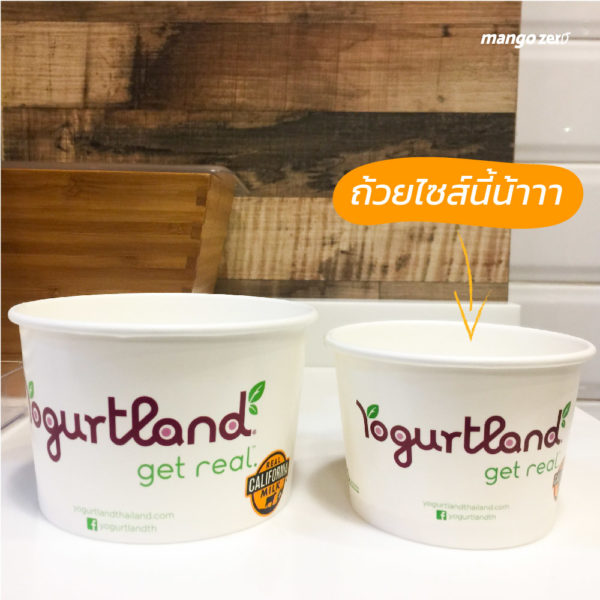 review-yogurtland-promotion-summer-unlimited-09