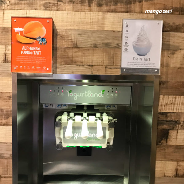 review-yogurtland-promotion-summer-unlimited-10