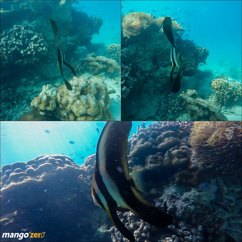 review-myanmar-island-25
