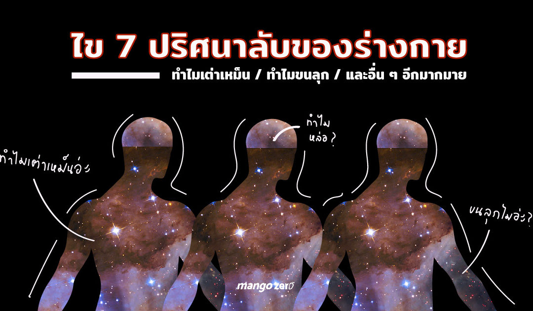 ไข 7 ปริศนาลับของร่างกาย ทำไมเต่าเหม็น ทำไมขนลุก และอื่นๆ อีกมากมาย