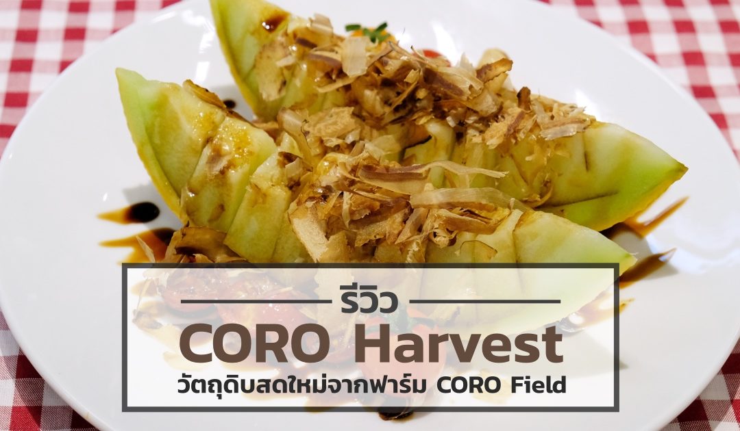 [Review] CORO Harvest วัตถุดิบสดใหม่จากฟาร์ม CORO Field ขนมาเสิร์ฟใจกลางเมือง