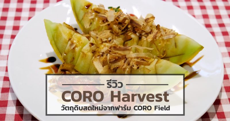 review-coro-harvest-form-coro-field-featured