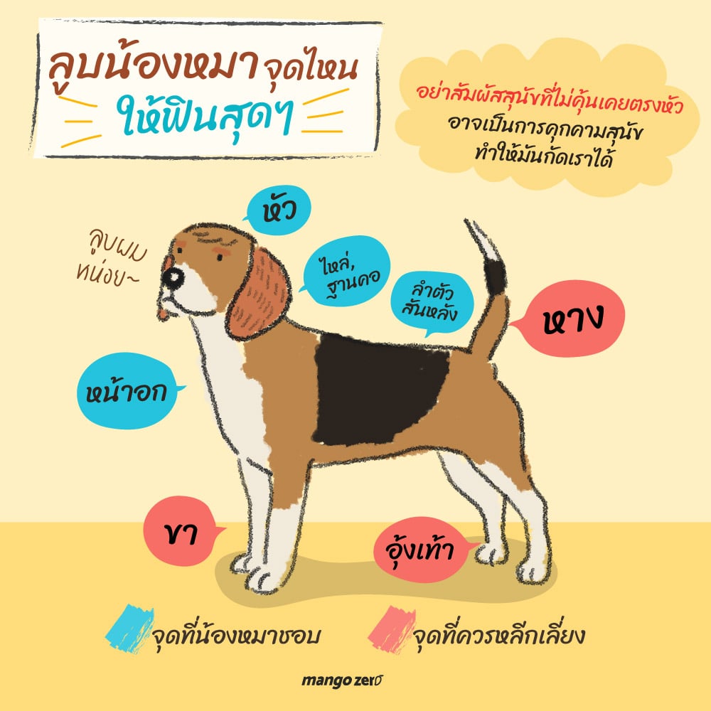 which-part-of-dog-you-should-touch-04