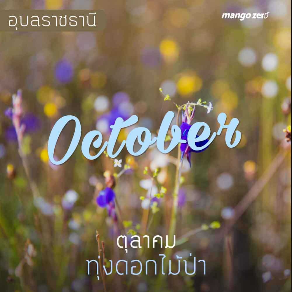 12-places-flowers-travel-all-year-in-thailand10