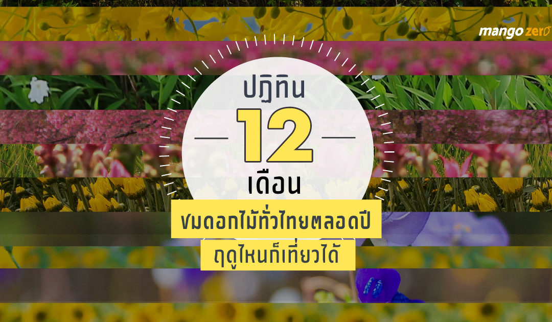 ปฏิทิน 12 เดือน ชมดอกไม้ทั่วไทยตลอดปี ฤดูไหนก็เที่ยวได้