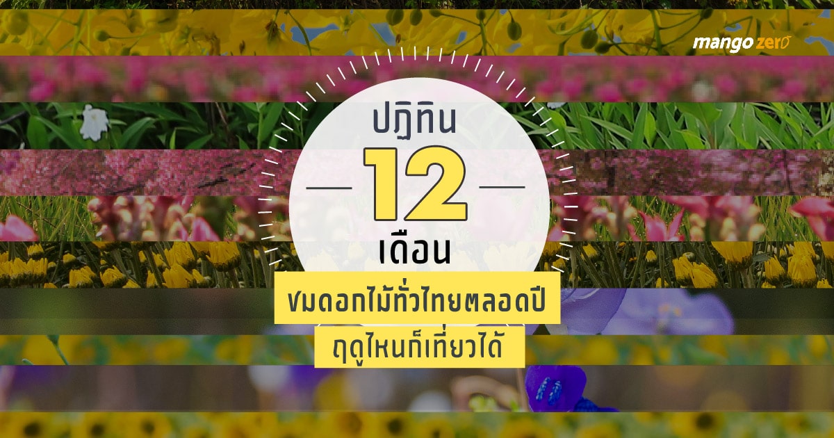 12-places-flowers-travel-all-year-in-thailand16-03