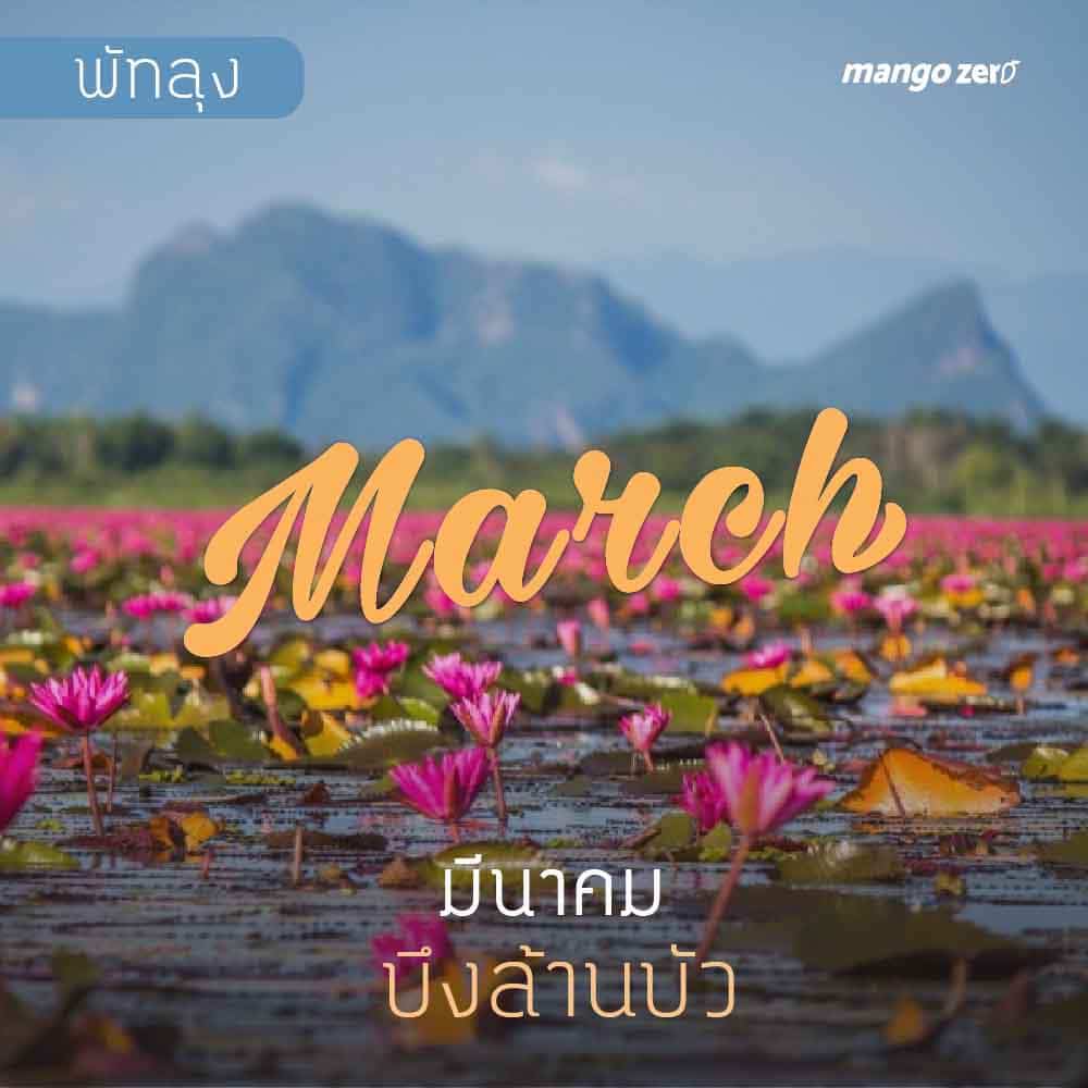 12-places-flowers-travel-all-year-in-thailand3