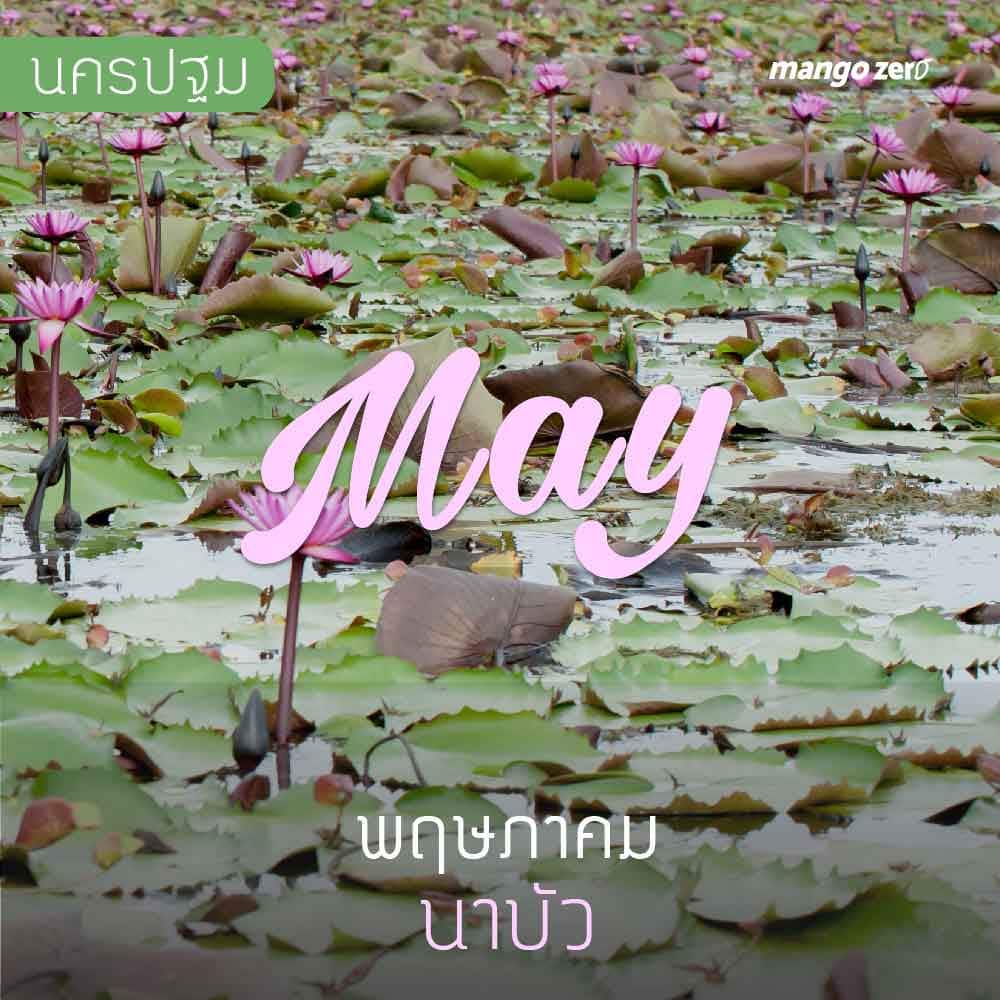 12-places-flowers-travel-all-year-in-thailand5