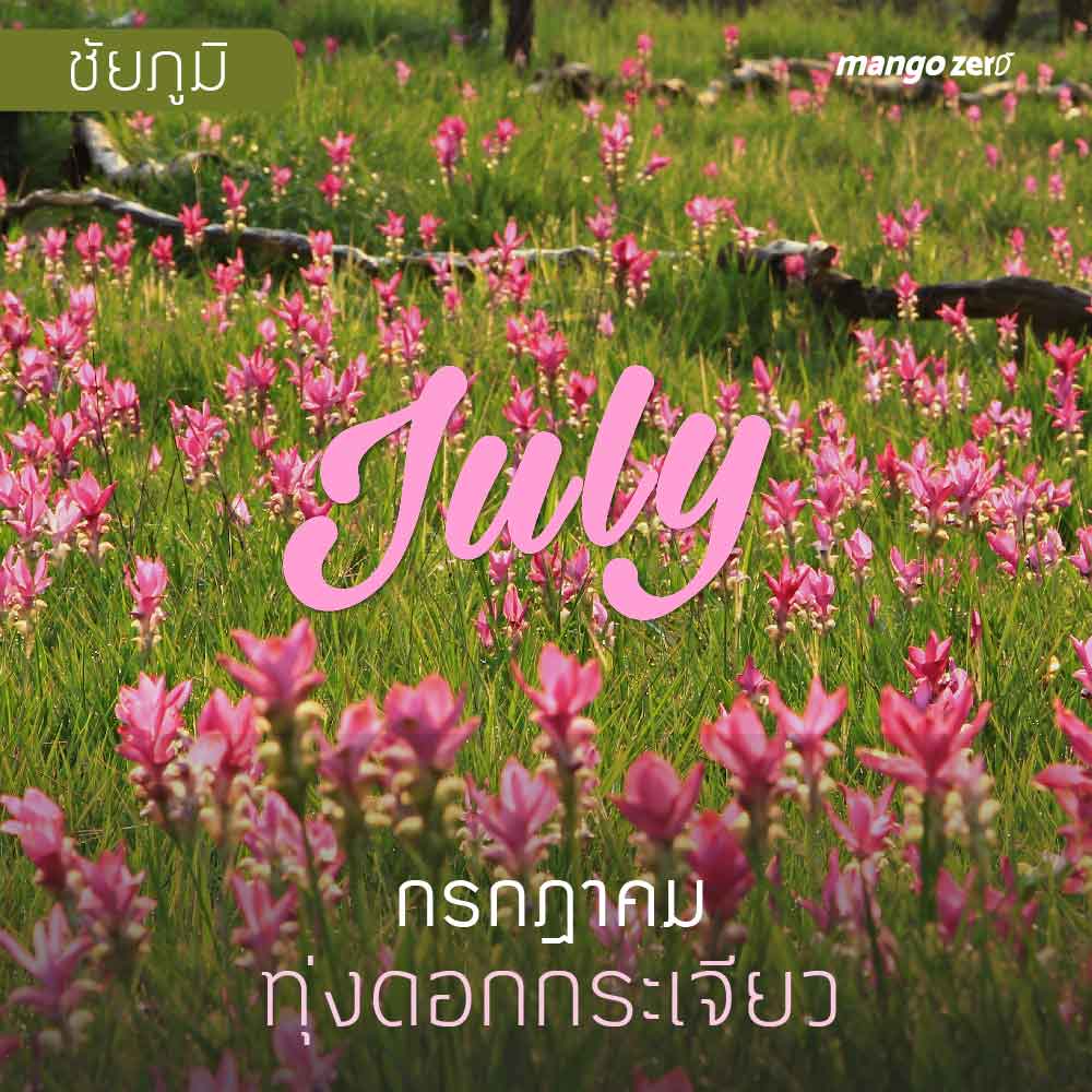 12-places-flowers-travel-all-year-in-thailand7