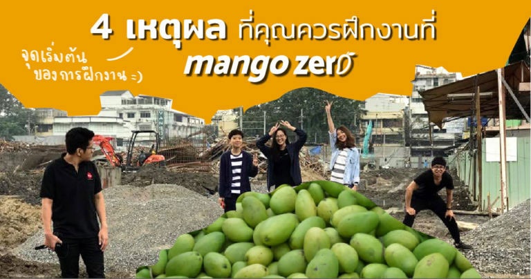 good-memories-of-internship-at-mango-zero8