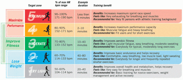 heart-rate-monitor-in-excercise-1