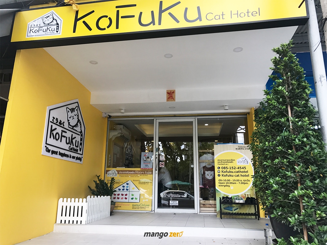 review-Kofuku-Cat-Hotel -1