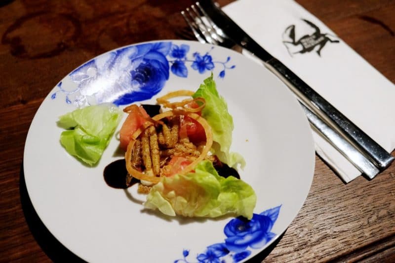 review-insect-in-the-backyard-at-changchui-13