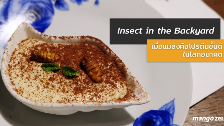 ร้านนี้มีแมลง Insect in the Backyard เมื่อแมลงคือโปรตีนชั้นดีในโลกอนาคต