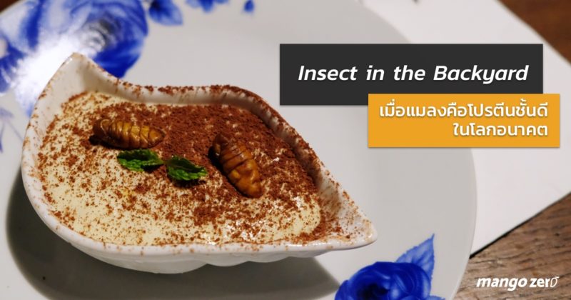 review-insect-in-the-backyard-at-changchui