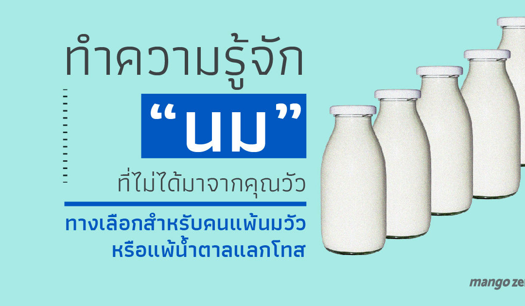 ทำความรู้จัก นม 5 ชนิด ที่ไม่ได้มาจากคุณวัว