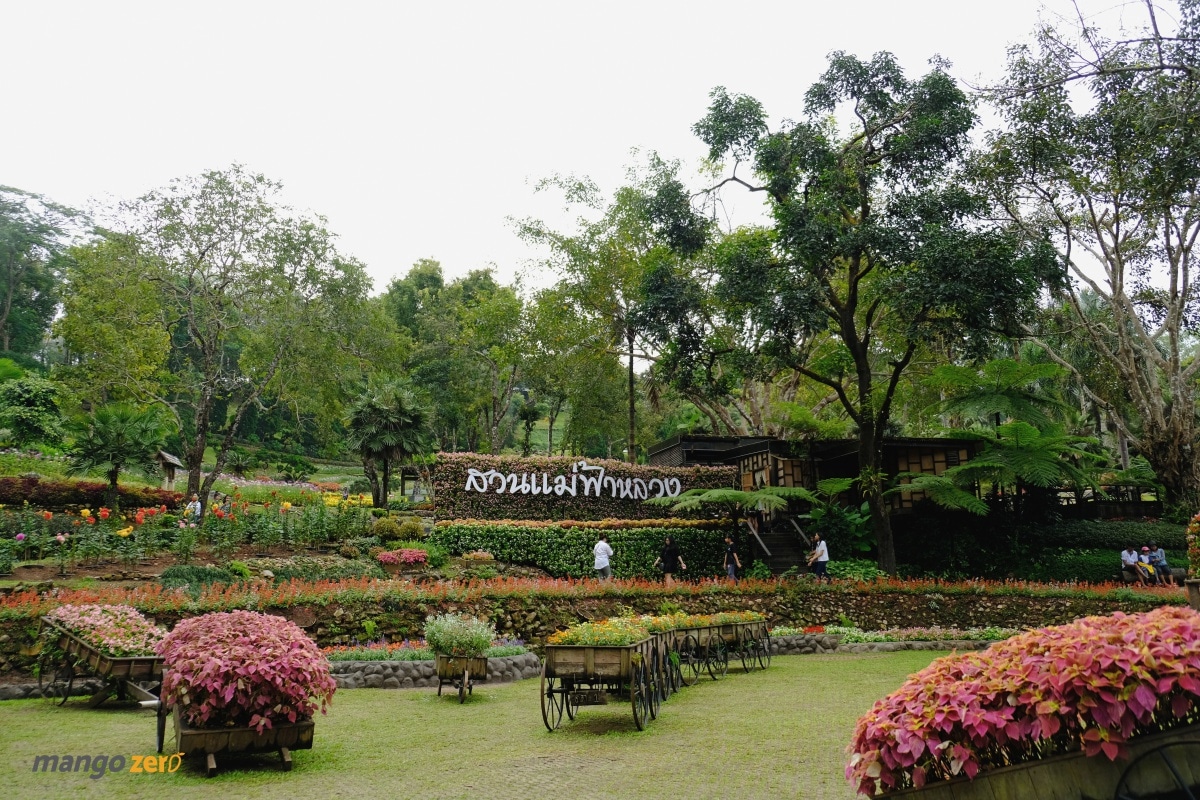 doitung-tree-top-walk-at-chiang-rai-14