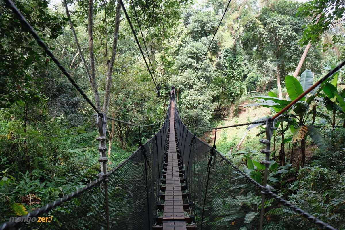 doitung-tree-top-walk-at-chiang-rai-24