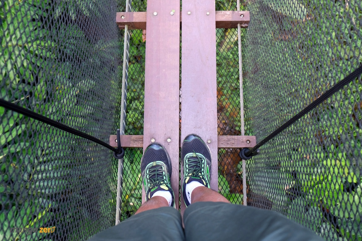 doitung-tree-top-walk-at-chiang-rai-25