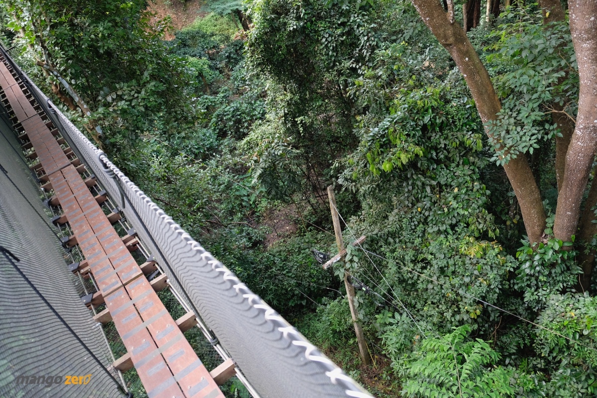 doitung-tree-top-walk-at-chiang-rai-28