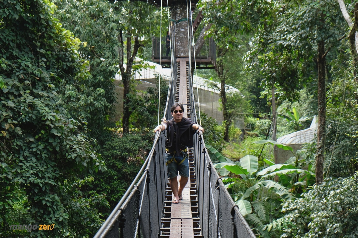 doitung-tree-top-walk-at-chiang-rai-31