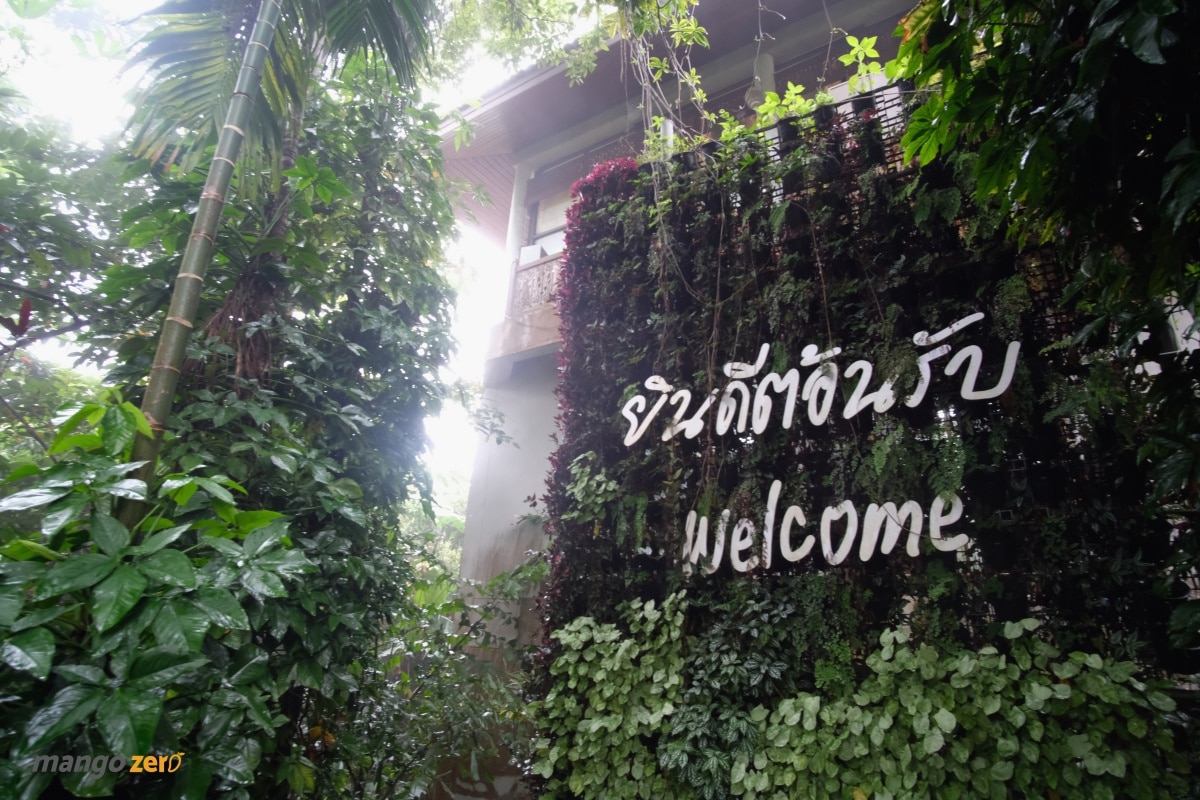 doitung-tree-top-walk-at-chiang-rai-5