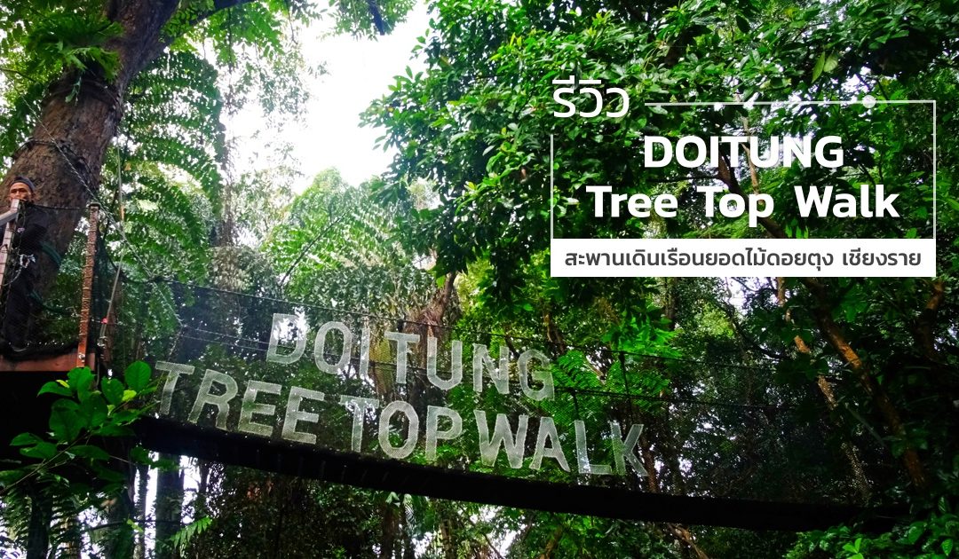 รีวิว DoiTung Tree Top Walk สะพานเดินเรือนยอดไม้ดอยตุง จังหวัดเชียงราย