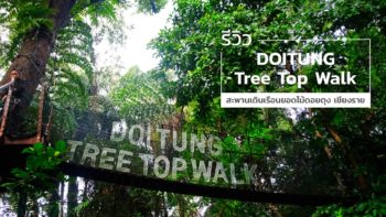 รีวิว DoiTung Tree Top Walk สะพานเดินเรือนยอดไม้ดอยตุง จังหวัดเชียงราย