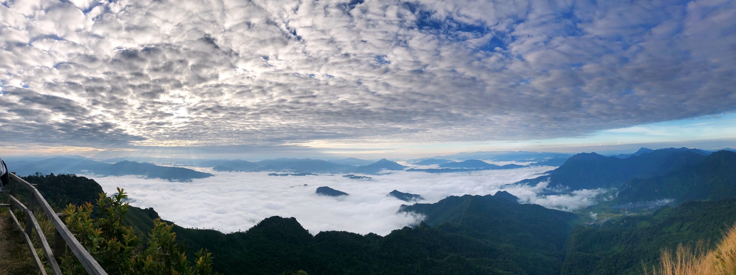 phucheedao-at-chiang-rai-37