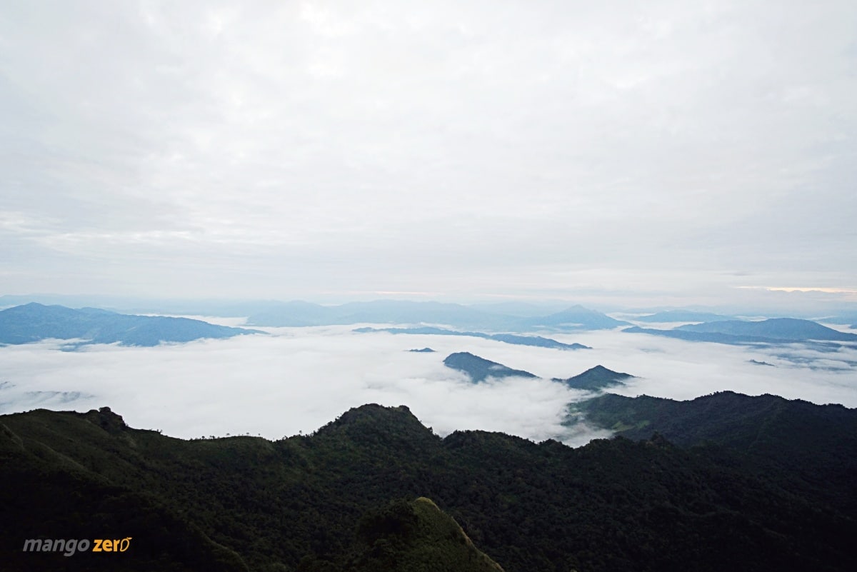 phucheedao-at-chiang-rai-6