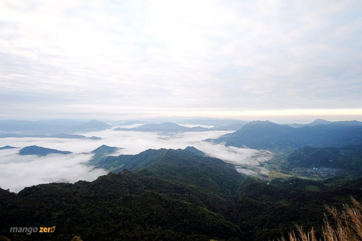 phucheedao-at-chiang-rai-9