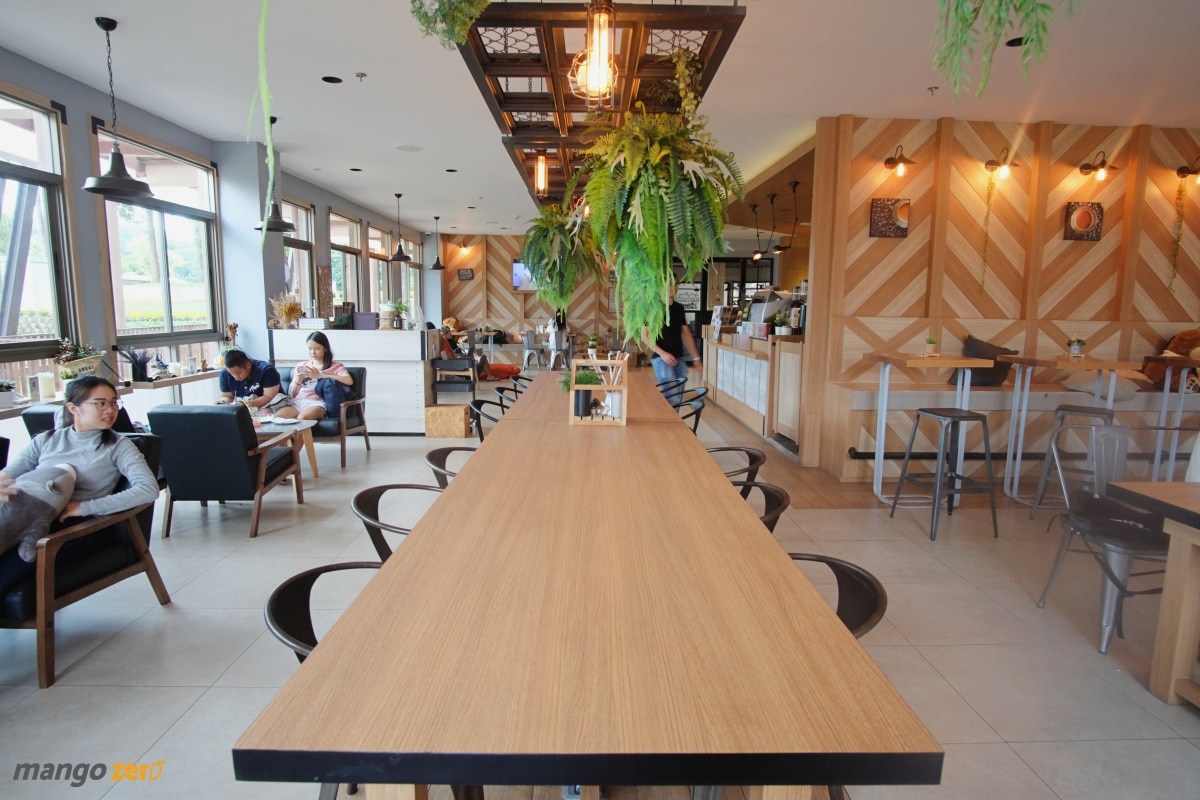 singha-park-cafe-chiang-rai-1