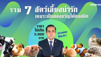 รวม 7  สัตว์เลี้ยงน่ารัก เหมาะเป็นของขวัญให้คนสนิท ราคาไม่เกิน 3,000 บาท